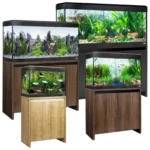 Fluval LED Aquariums